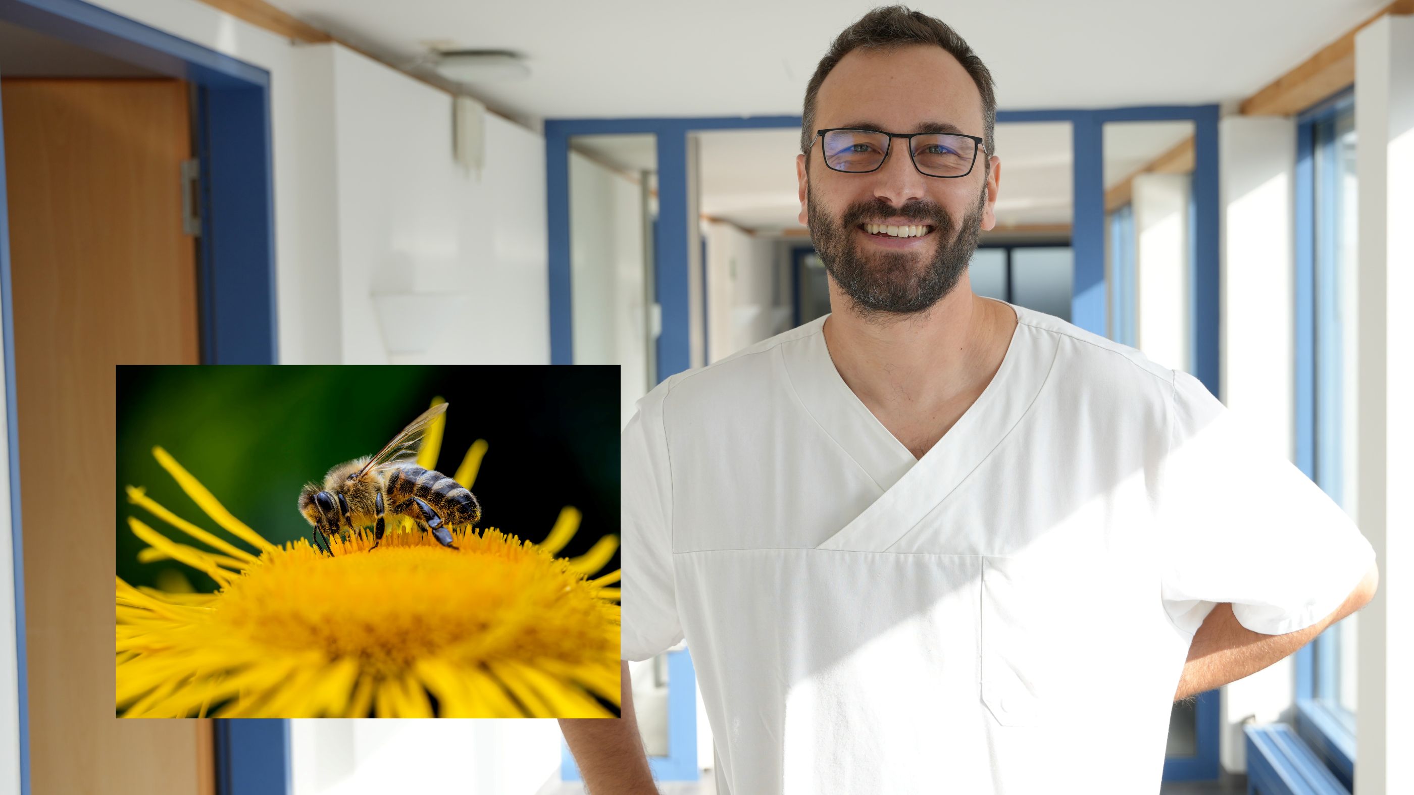 Prof. Dr. Arno Mohr und ein Biene sitzt auf einer Blüte